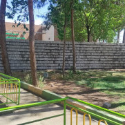 مخالفت با مکان جدید راهنمایی و رانندگی در پارک لاله نجف‌آباد