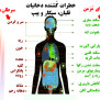 #پیشگیری_از_سرطان