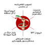 #مطالبه_مردم_از_مسئولین_حول_محور_مذاکرات