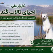 درخواست احیای تالاب بین‌المللی گندمان