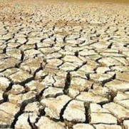 درخواست راه‌سازی حق‌آبه رودخانه دوایرج موسیان استان ایلام