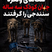 درخواست جمع‌آوری سگ‌های بدون صاحب در سطح شهر سنندج