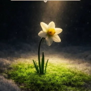 پیشنهادهایی برای ترویج حجاب و مقابله با بی‌حجابی