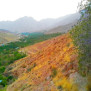 #روستای_ده_بالا_نه_به_عوارض