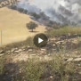 #نجات_دشتگل