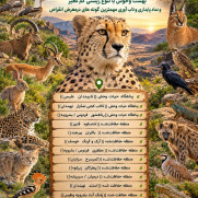 درخواست سفر ریاست سازمان حفاظت محیط‌زیست به خراسان جنوبی و بازدید از ظرفیت‌های زیست‌محیطی طبس