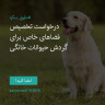 انتشار پوستر دعوت به امضا در اینستاگرام