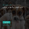انتشار پوستر دعوت به امضا در اینستاگرام