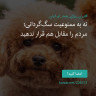 انتشار پوستر دعوت به امضا در اینستاگرام