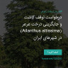 انتشار پوستر دعوت به امضا در اینستاگرام