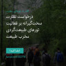 انتشار پوستر دعوت به امضا در اینستاگرام