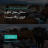 انتشار پوستر دعوت به امضا در اینستاگرام