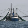 درخواست ممنوعیت دائمی صید ترال کف با کشتی‌های ترال ایرانی و غیر ایرانی در منطقه دریای جنوب، دریا مکران (دریا عمان) و خلیج فارس