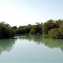 کمپین نجات جنگل حرا و تالاب ملی دیر
