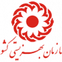 درخواست استخدام مربیان مراکز نگهداری از کودکان بی‌سرپرست توسط سازمان بهزیستی