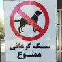 درخواست حمایت از قانون منع سگ‌گردانی در سطح شهر