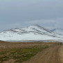 اتحادیه اردو نان