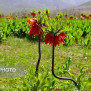 درخواست ابلاغ بروز‌رسانی تعرفه دستمزد کارشناسان رسمی دادگستری
